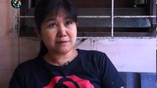DVB - Voxpop20142802