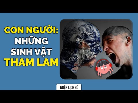 Video: Đánh giá 