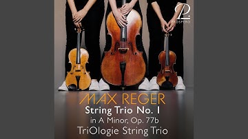 String Trio No. 1 in A Minor, Op. 77b: I. Sostenuto - Allegro agitato