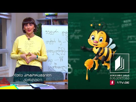 ქართული, I-II კლასი - „მოცეკვავე ფუტკარი ტოტო“, დღის სამი მთავარი წინადადება, #ტელესკოლა