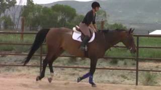 Johann hacking at a canter