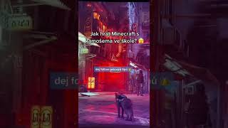Minecraft Ve Škole