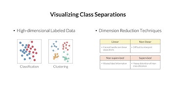 Visual Analysis of Class Separations with Locally Linear Segments