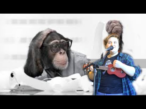 Code Monkey