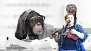 Code Monkey