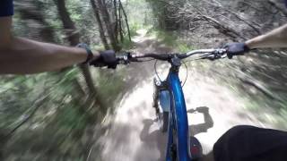 Plakes Trail 29 5 16