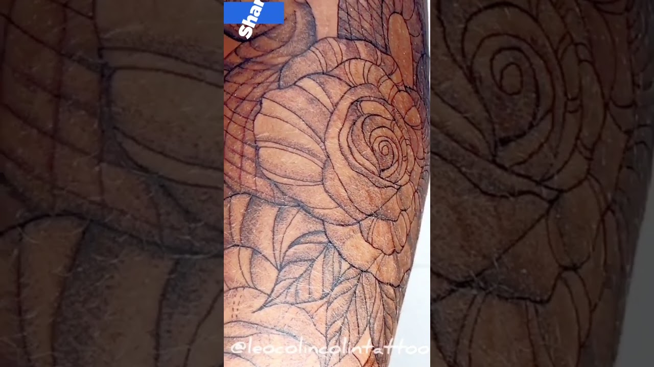 Tatuagem com linhas delicadas Tattoo de serpente linhas finas