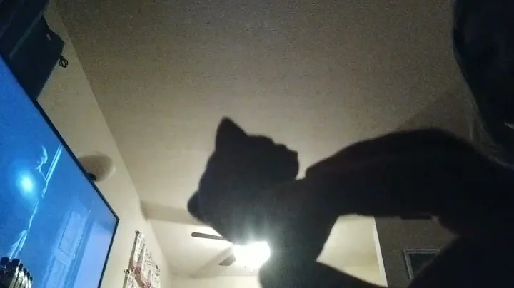 just playing with animals to show you guys.