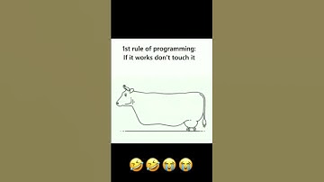 Fixing bugs First Rule of #Programming #code #bug #softwaredeveloper 😂