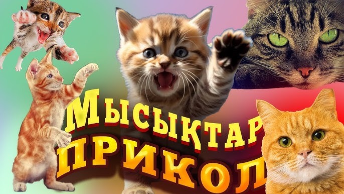 Оның шалбарына сину Толық орыс әйелдері бейнеленген порно