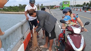 Câu cá tôm CẦN GIỜ, điểm câu lý tưởng cho anh em cần thủ #fishing 🇻🇳