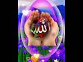 Allah Hu #shorts #ytshorts #viral #Allah