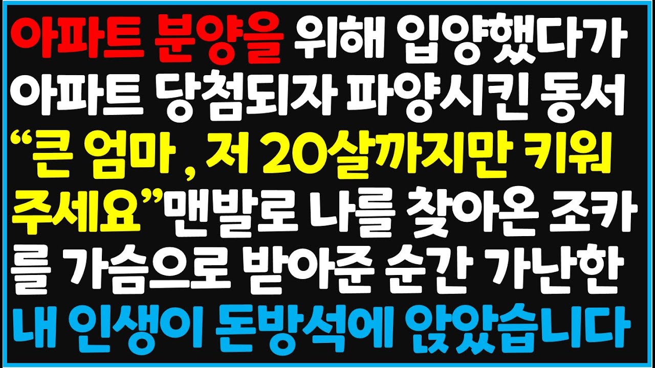 (신청사연) 아파트 분양을 위해 입양했다가 아파트 당첨되자 파양시킨 동서 