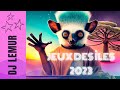 Mix musiques  jeux des les de locan indien  madagascar jioi 2023  dj lemur