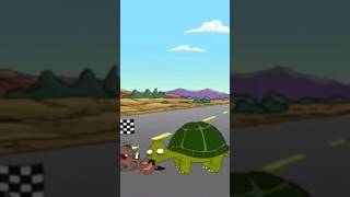 Turtle Wins The Race 