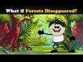 What if Forests Disappeared? | #aumsum #kids #science #education #children