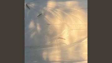 part 9 (feat. Cæcilie Trier, Clarissa Connelly, Henriette Motzfeldt)