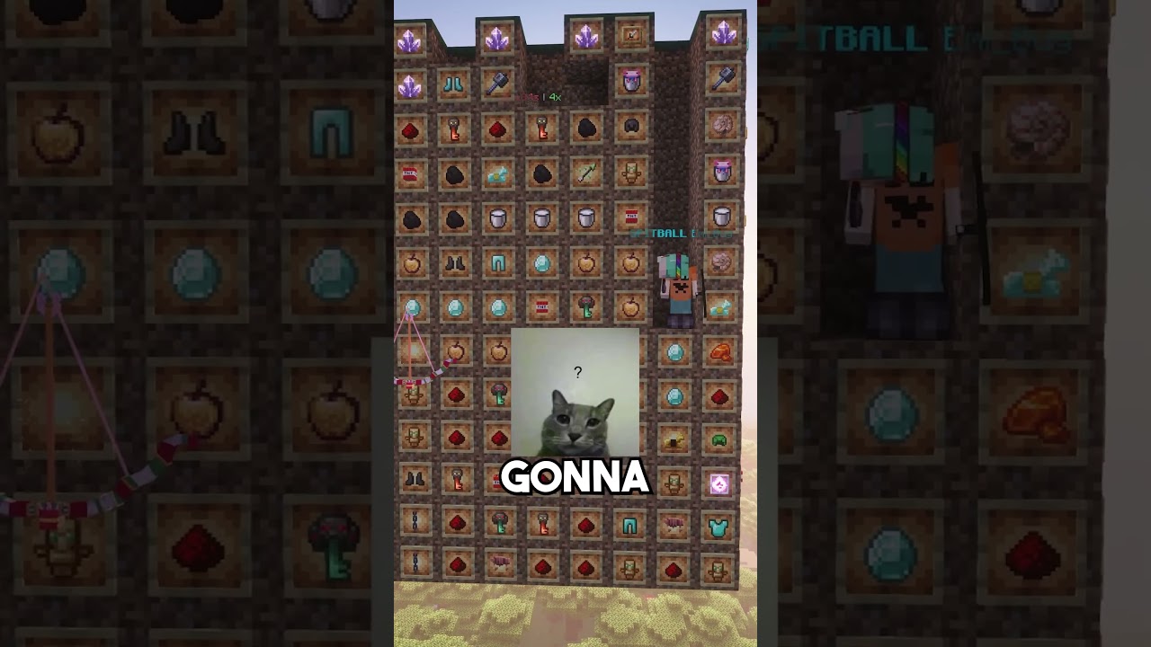 GET ALL THE ITEMS YOU CAN