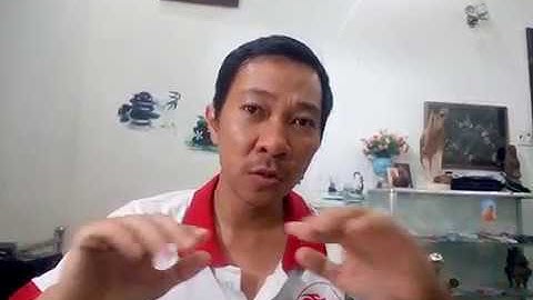 Học thiết kế Web Wordpress Tin Tức