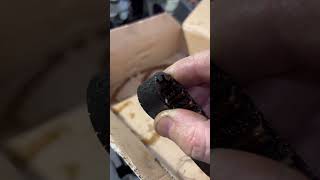 Problema crônico citroen c3 #puretech #peugeot #correiadentada