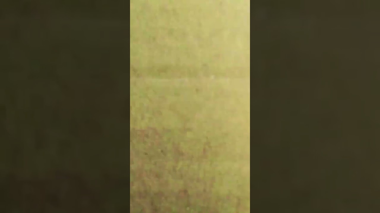 Zebronic Zeb Duke Headphones || ✨ Look Wise Awesome 👍👍 