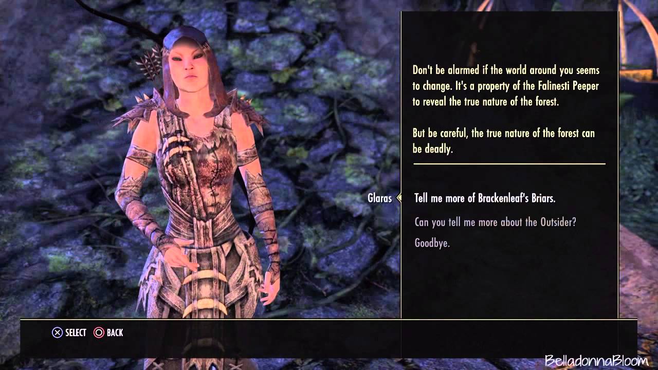The Elderscrolls Online: Tamriel Unlimited - Quests: Brackenleaf's Briars, Bosmer Insight
