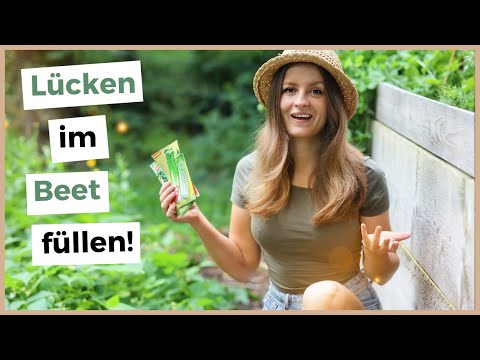 Video: Was Im August Im Garten Säen