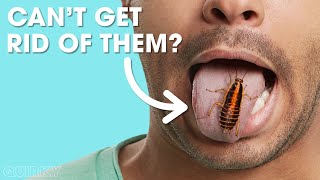 10 Bizarre Facts About Cockroaches | Why Are Cockroaches So Hard To Kill?