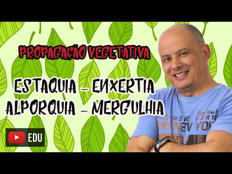 Vídeo: De que maneira a reprodução vegetativa é simples?