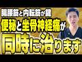 便秘の人は坐骨神経痛になりやすい?腸腰筋と内転筋が治すカギです