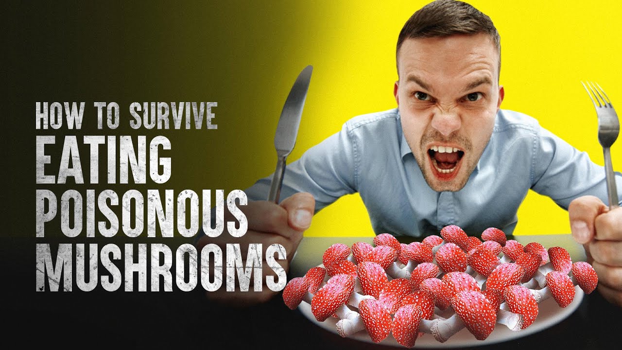 How to Survive Eating Poisonous Mushrooms YouTube