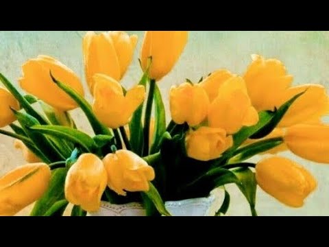 ДОБРОГО РАНКУ//ГАРНОГО НАСТРОЮ// ЧУДОВОГО ДНЯ// ПОЗИТИВНИХ ДУМОК