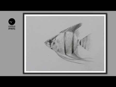 How To Draw An Angelfish Step By Step || Pencil Sketch || Drawing || Art Tutorial