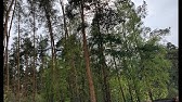 ВЕЛИКИЙ ОБЕРЕГ ОТ СМЕРТИ....ДАРЮ ВСЕМ... - YouTube