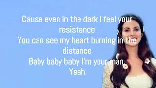 Mariners Apartment Complex - Lana Del Rey (Lyrics)