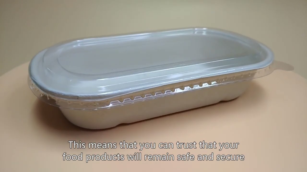 Wegwerpbekers,wegwerpvoedselcontainer,biologisch afbreekbare voedselcontainer,goede,Chinese verkoper