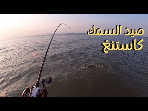 صيد السمك من الشاطئ خليج المكسيك كاستنغ لوير