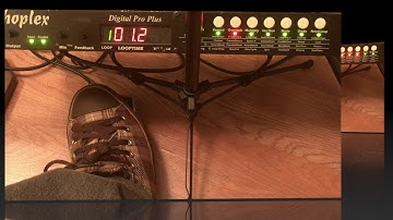 The "Input" Interface Mode on the Echoplex Digital Pro