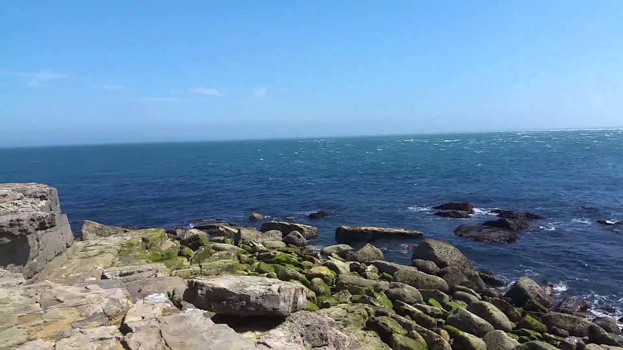 Portland UK Video