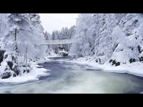 Video: Lumivalge Kodulinnud