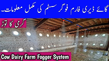 Cow Dairy Farm Fogger Setup | Fogger System Full Information For New Dairy Farmers | Dairy Foggers