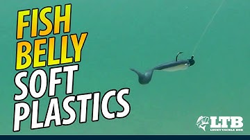 In the Belly of the Softplastic Beast! | Lucky Tackle Box Tips