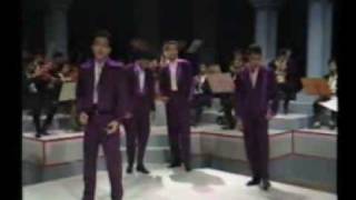 Camar yang hilang -  MALE VOICE (indonesia)