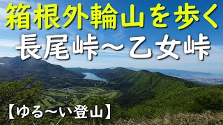 【ゆる～い登山】20240518（箱根外輪山を歩く・長尾峠～乙女峠）