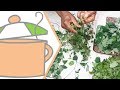 Preserving Nigerian Leafy Vegetables | All Nigerian Recipes