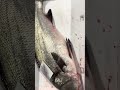 こう言うのに騙されるよね vol.719