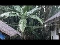 99% Will fall a Sleep Within 5 Minutes 😴 Super Heavy Rain Without Lightning Verry Shoothing