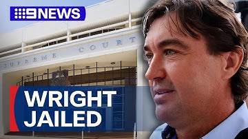 Celebrity crocodile wrangler Matt Wright jailed | 9 News Australia