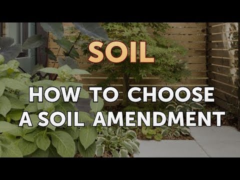 How to Choose a Soil Amendment