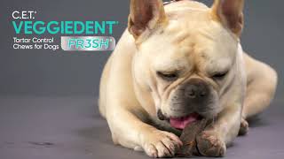 C.E.T.® VEGGIEDENT® FR3SH® Tartar Control Chews for Dogs by Virbac US 4,641 views 5 years ago 57 seconds